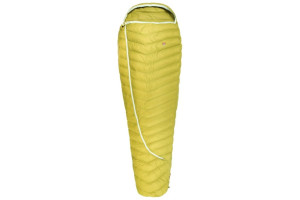 Warm Olive-swatch