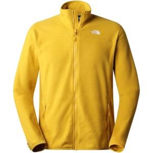 The North Face 100 Glacier Full Zip Men s