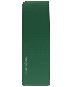 Forest Green-swatch